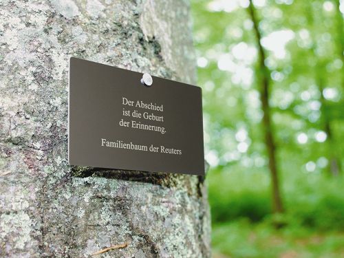 Bestattung im Friedwald