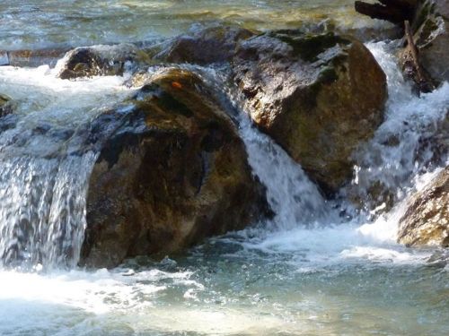 Bestattung in der freien Natur