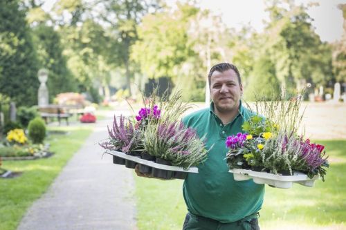 Das Team von GE∙BE∙IN Grabpflege übernimmt gerne die Grabpflege für Sie